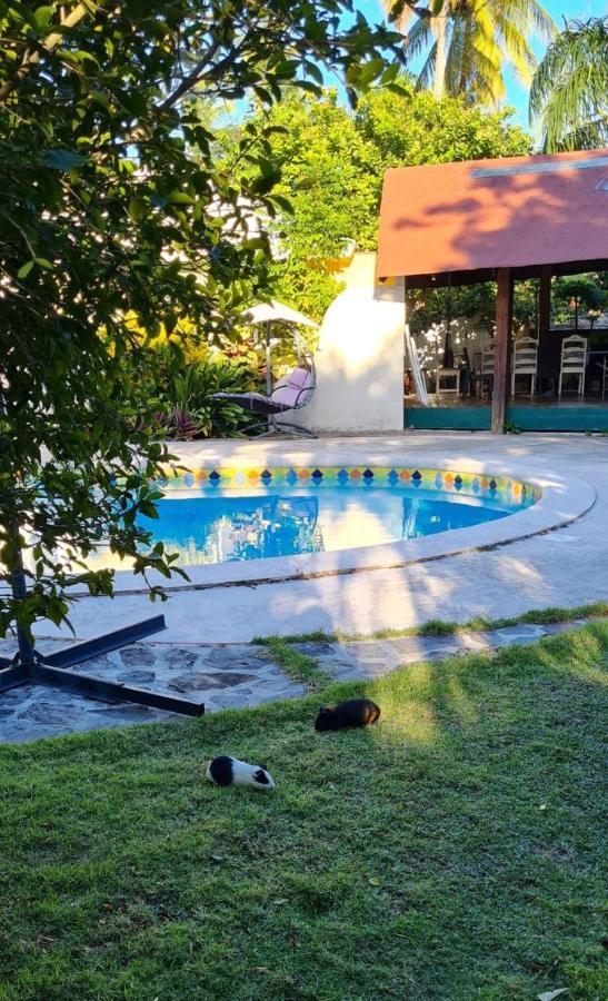 Villa Sonrisa Casa De Huespedes Las Terrenas Dış mekan fotoğraf